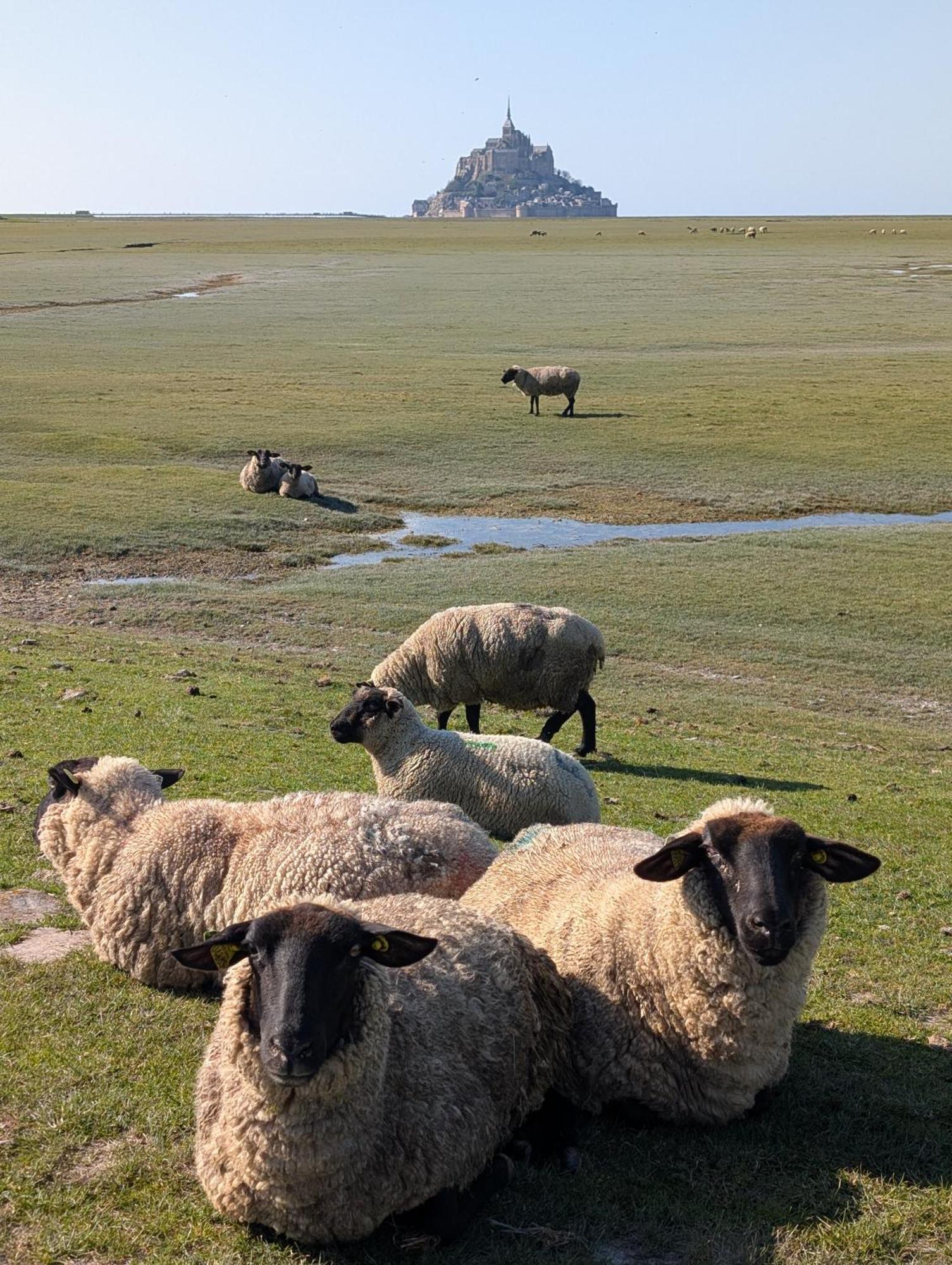 Bed and Breakfast A L Ombre Du Mont Saint Michel Huisnes-sur-Mer Zewnętrze zdjęcie