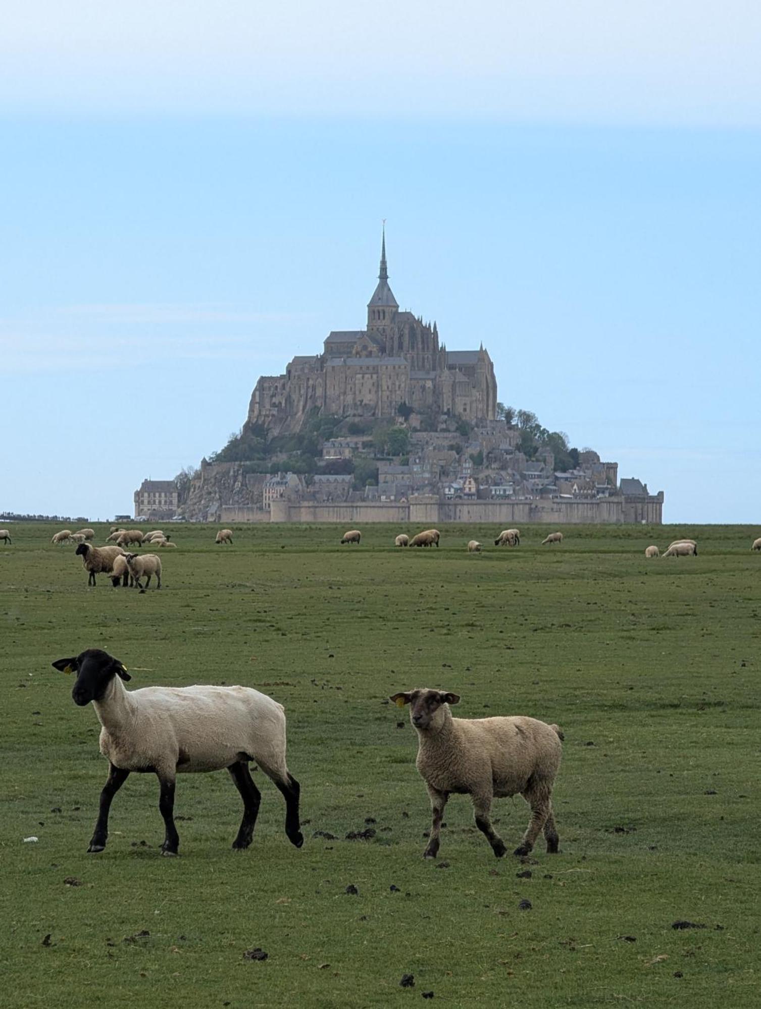 Bed and Breakfast A L Ombre Du Mont Saint Michel Huisnes-sur-Mer Zewnętrze zdjęcie